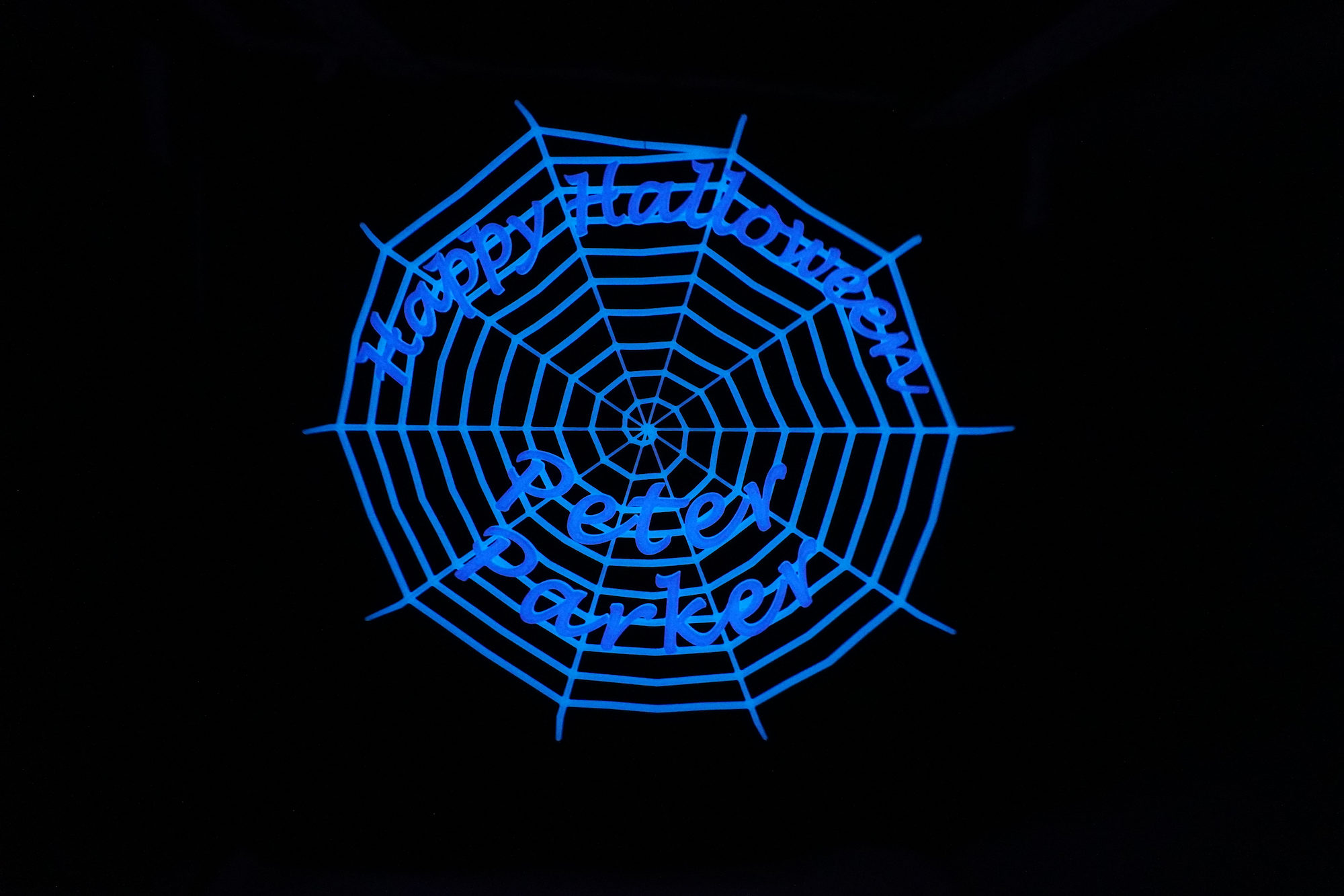 Spider Web Plaque